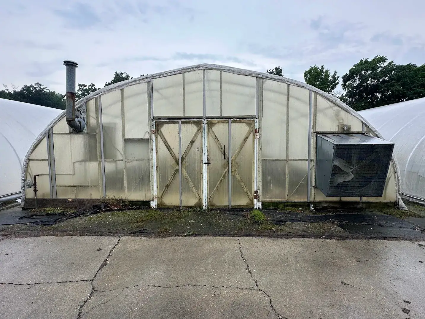 WHITE'S AUCTION LOT 19 - CF04 - X.S. Smith 30' x 96' Criterion Quonset Hoop Cold Frame Greenhouse