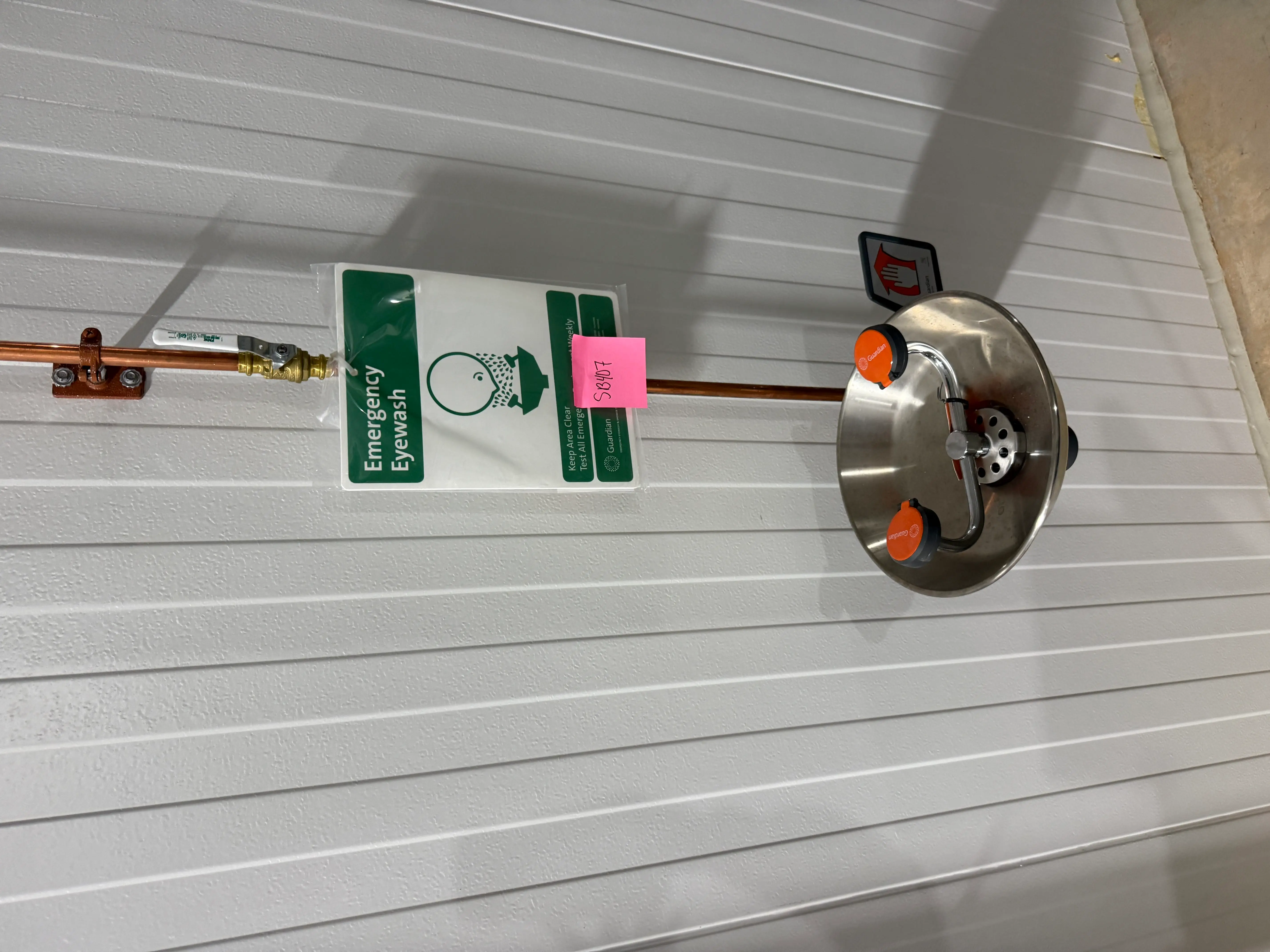 Wall-Mounted Emergency Eyewash Station with Stainless Bowl