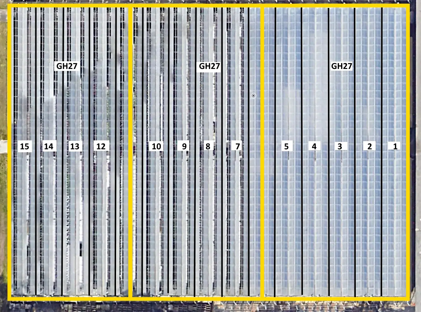 WHITE'S AUCTION LOT 198 - Bays 12-15 of Greenhouse #27