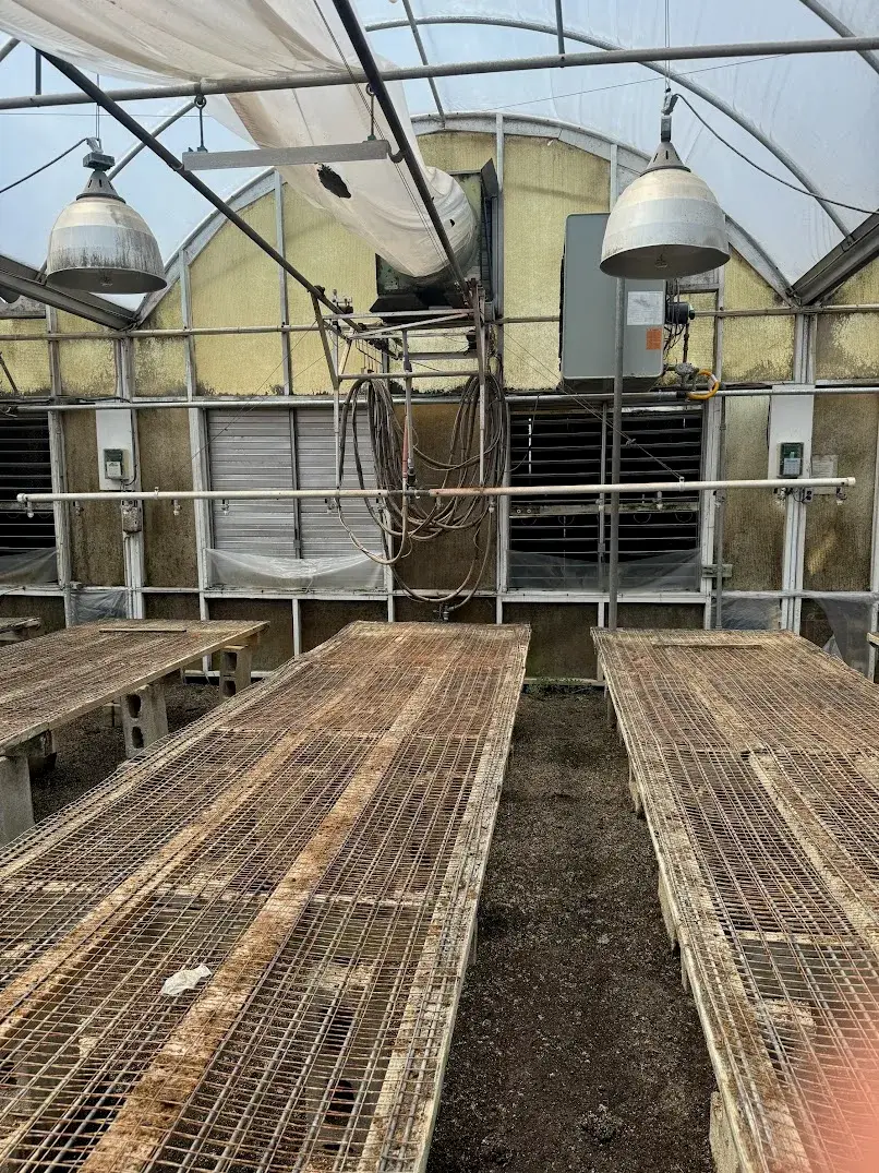 WHITES AUCTION LOT 122 - 17' Double Rail Watering Boom System with Greenhouse Technology Inc. Boom System Controller in GH22 Starting Area Bay 5.