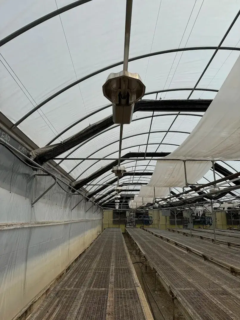 WHITE'S AUCTION LOT 95 - Lot of 25 PL Light Systems 400-Watt HPS Lights - Located in Greenhouse 23 Starting Area