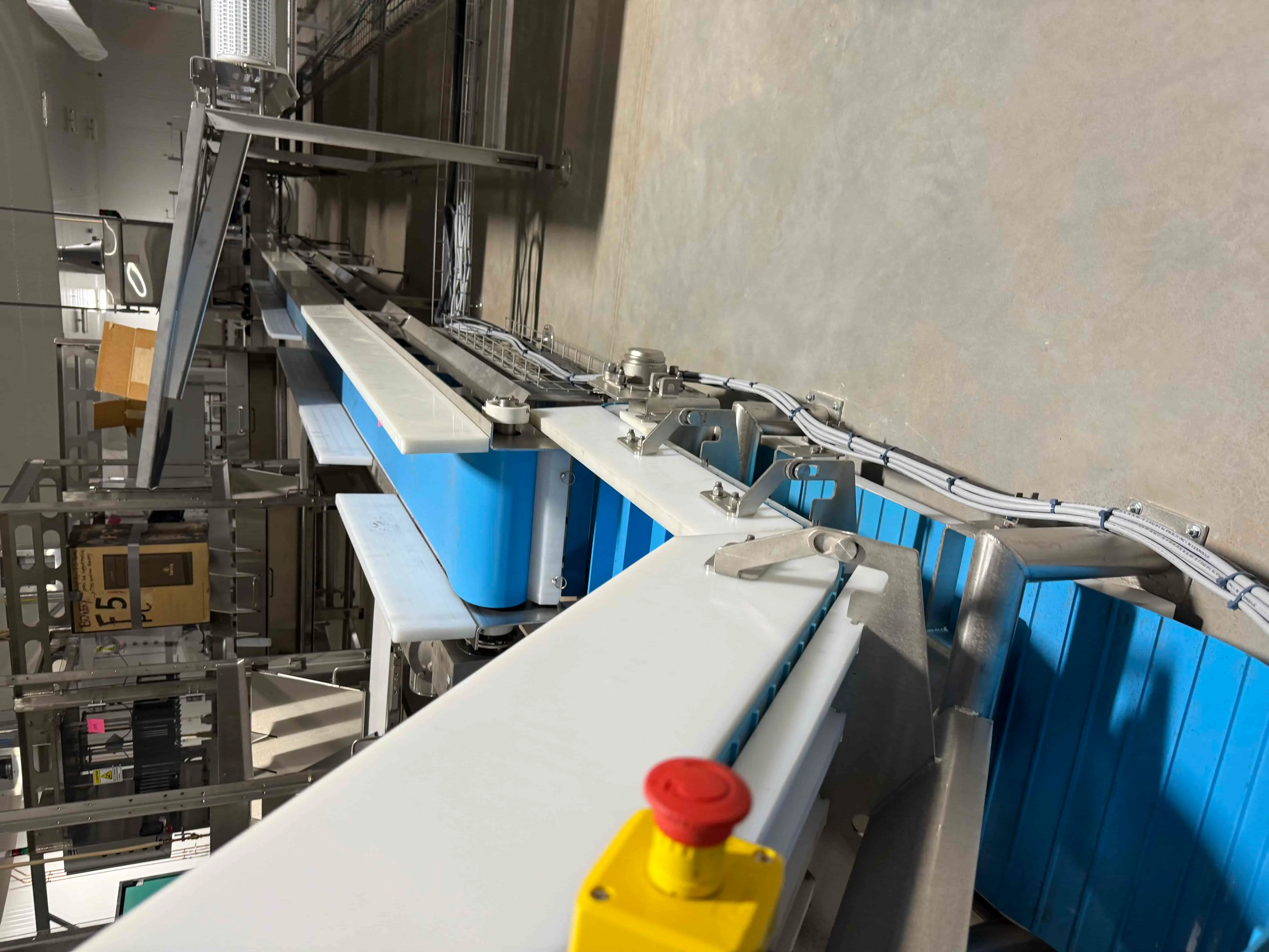 SB49:  Stainless Food-Grade Conveyor System with Blue Modular Belt, Incline Feed Section, and Safety E-Stop – Wash-Down Rated for CEA or Food Processing