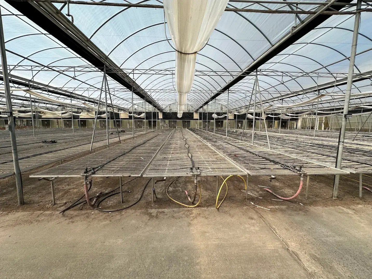 WHITE'S AUCTION LOT 32 - GH24 Expanded Metal Benches in Bays 19-24 - 36 Durable and Spacious Benches