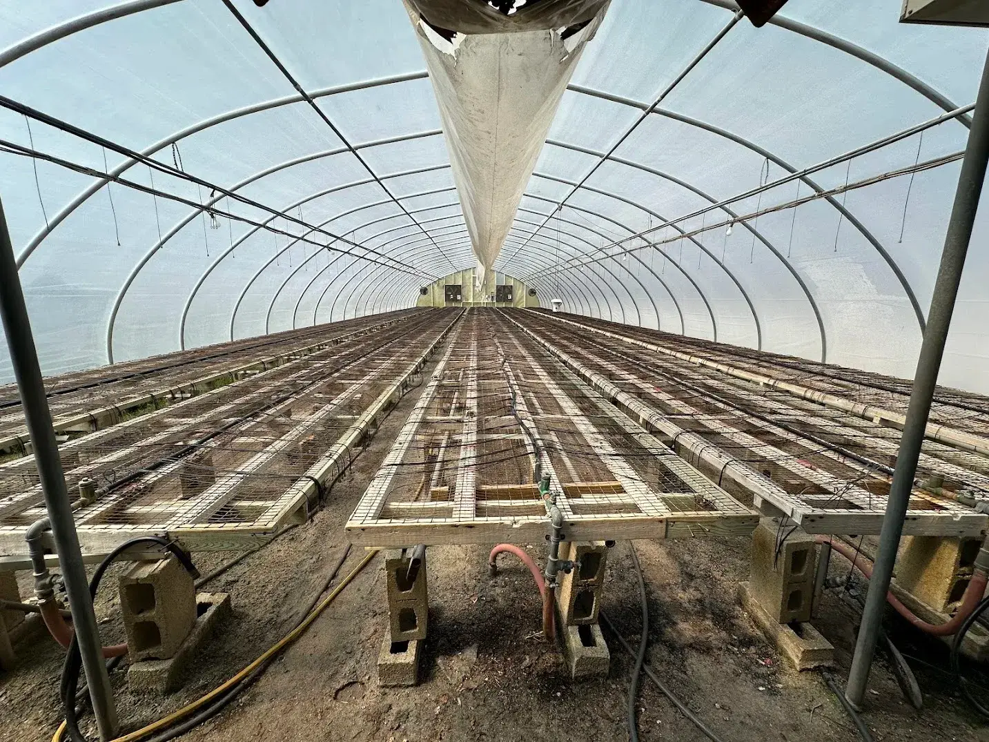 WHITE'S AUCTION LOT 3 - GH08 - X.S. Smith 30' x 96' Criterion Quonset Hoop Greenhouse