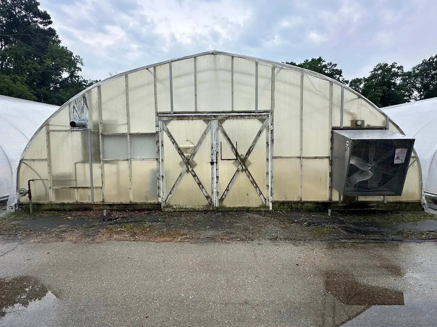 WHITE'S AUCTION LOT 29 - CF14 - X.S. Smith 30' x 96' Criterion Quonset Hoop Cold Frame Greenhouse
