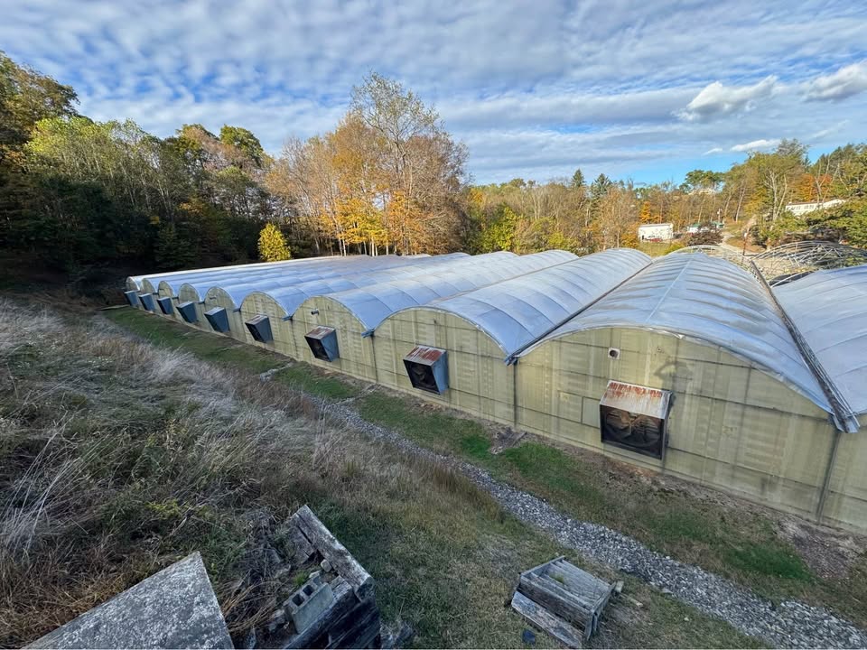11 Connected Greenhouses – Quonset Style, Used / Good Condition | Irwin, PA, photo 5