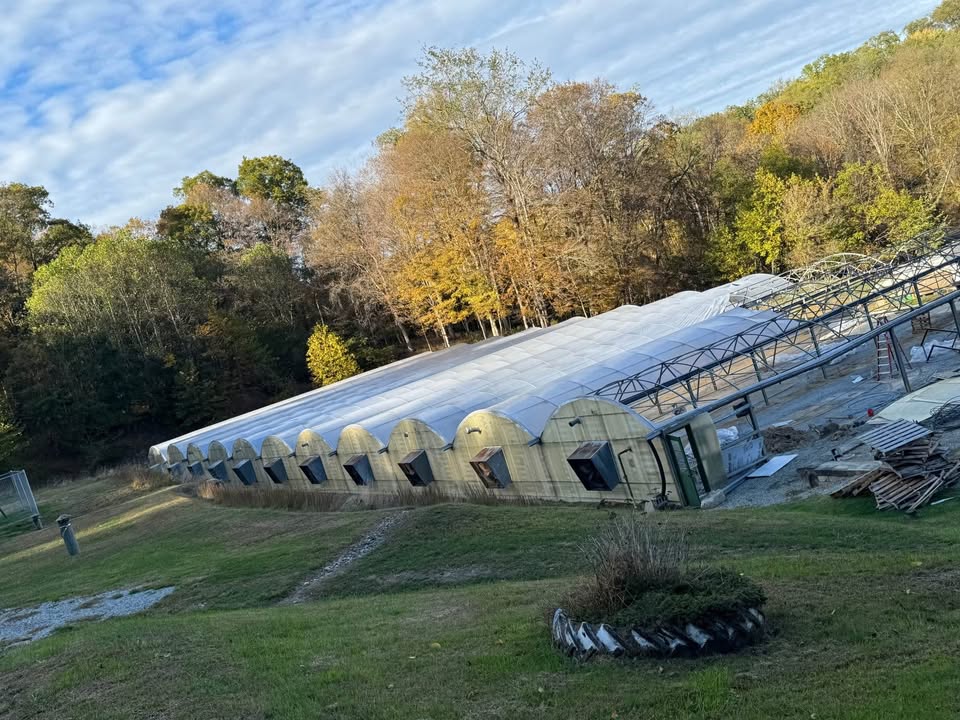 11 Connected Greenhouses – Quonset Style, Used / Good Condition | Irwin, PA, photo 4