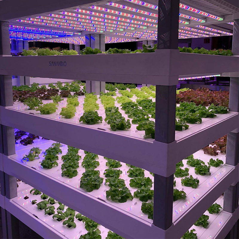 Hydroponic Vertical Grow Rack System (4-Tier), photo 2