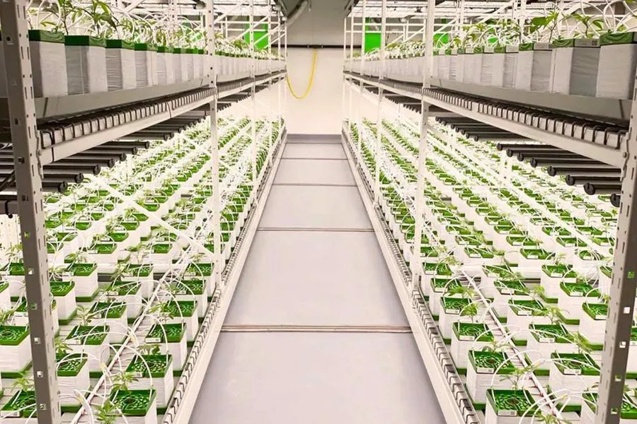 Hydroponic Vertical Grow Rack System (4-Tier), photo 3